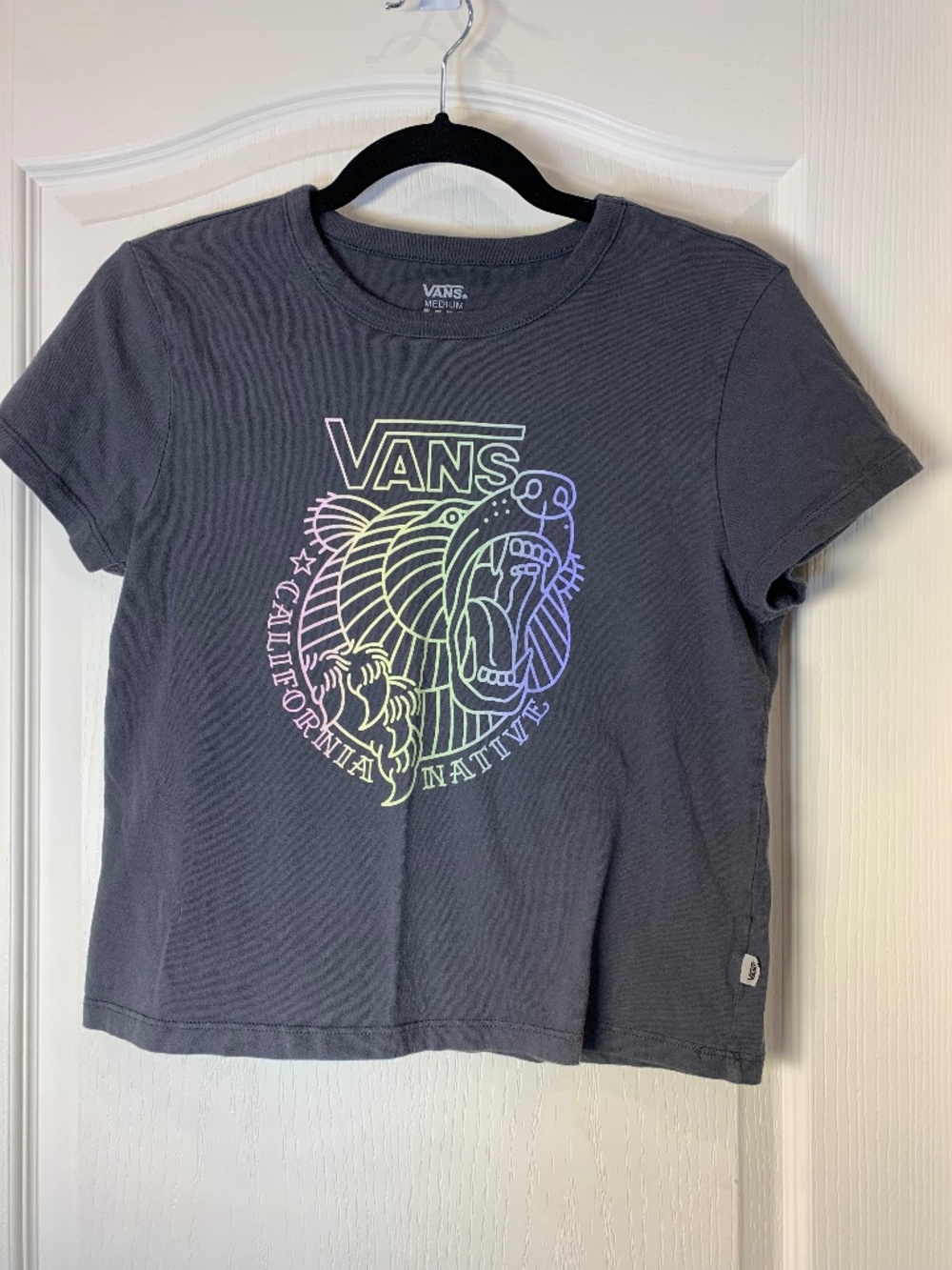 Vans California Native Lion Graphic Grey Crop Tee Pastel Skate Streetwear Womens